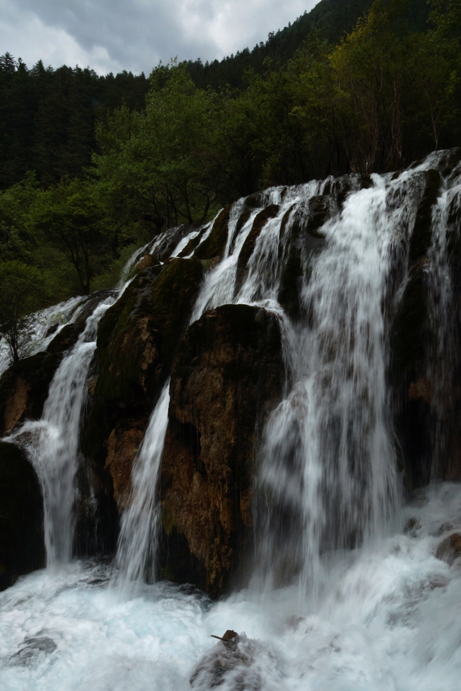 DSC00914.jpg