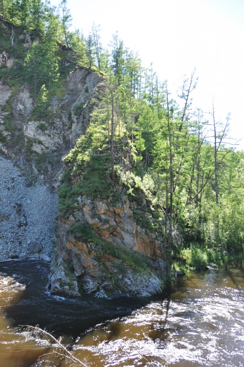 dsc_0973_conew1.jpg