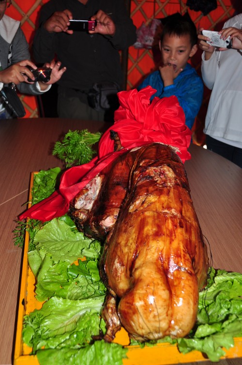 dsc_0229_conew1.jpg