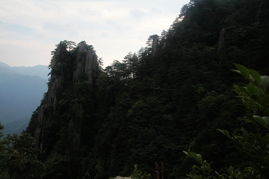IMG_0788.jpg