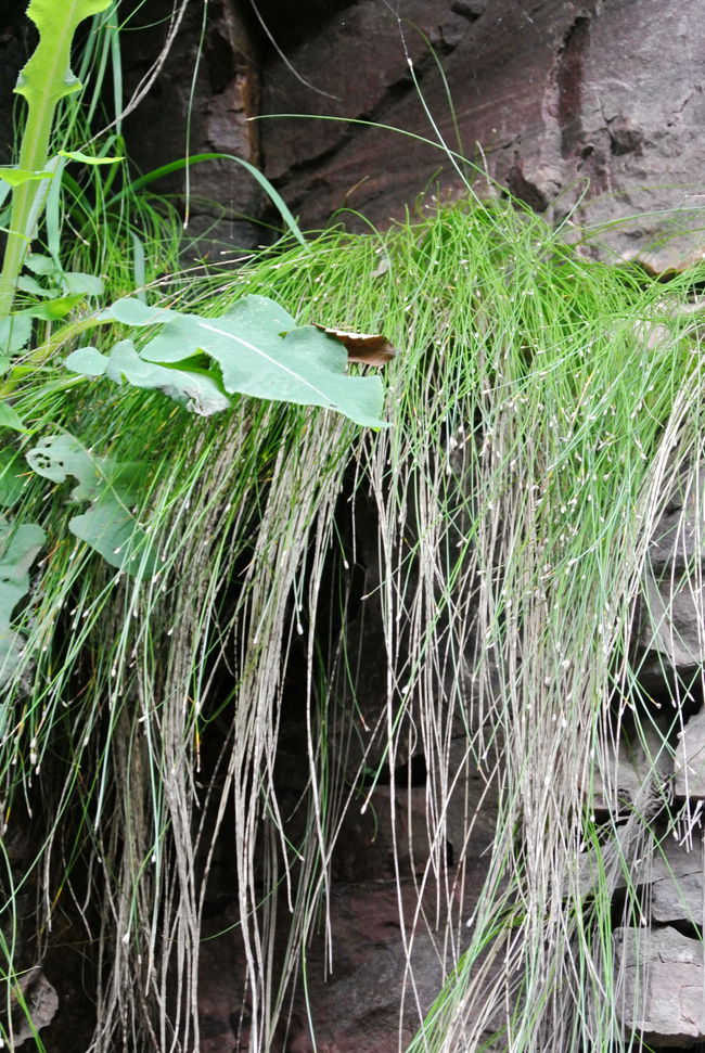 DSC_5989_副本.jpg