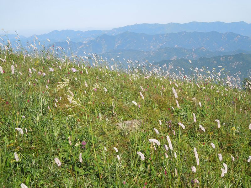 DSCN1096.JPG