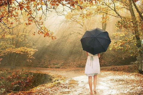 e149c682375d7edbf703a663.jpg
