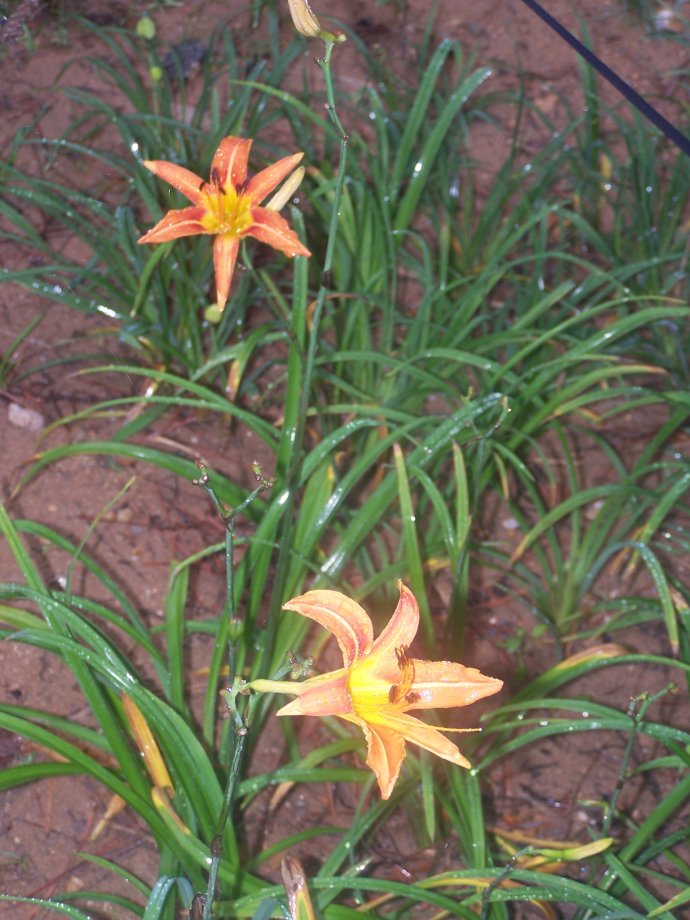 5da87970tx6BYG45ptPf5&amp;690.jpg