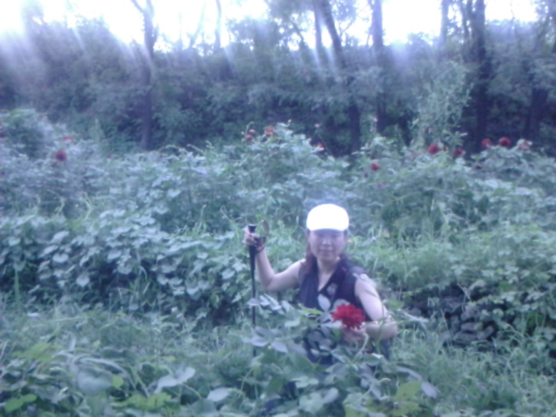 IMG_20130819_180319.jpg