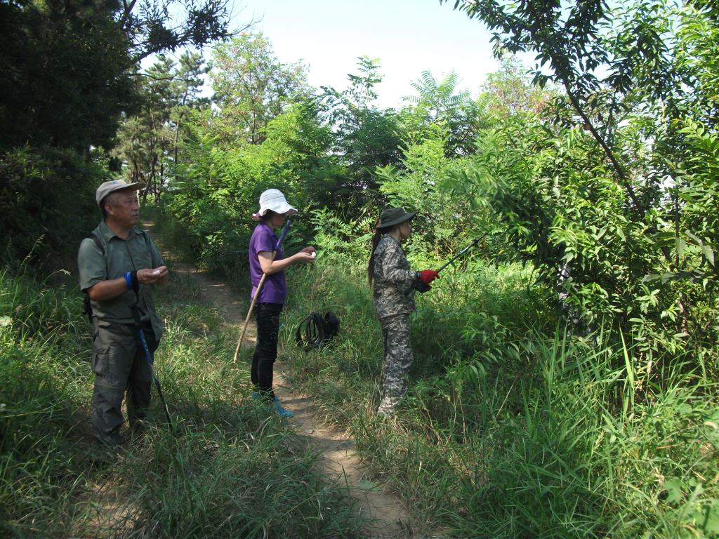 DSCF4077.JPG