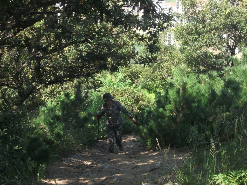 DSCF4087.JPG