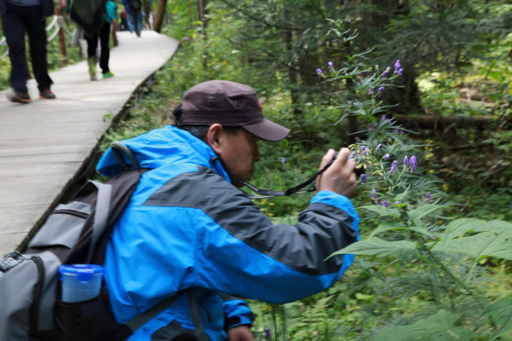 长白山 288.jpg