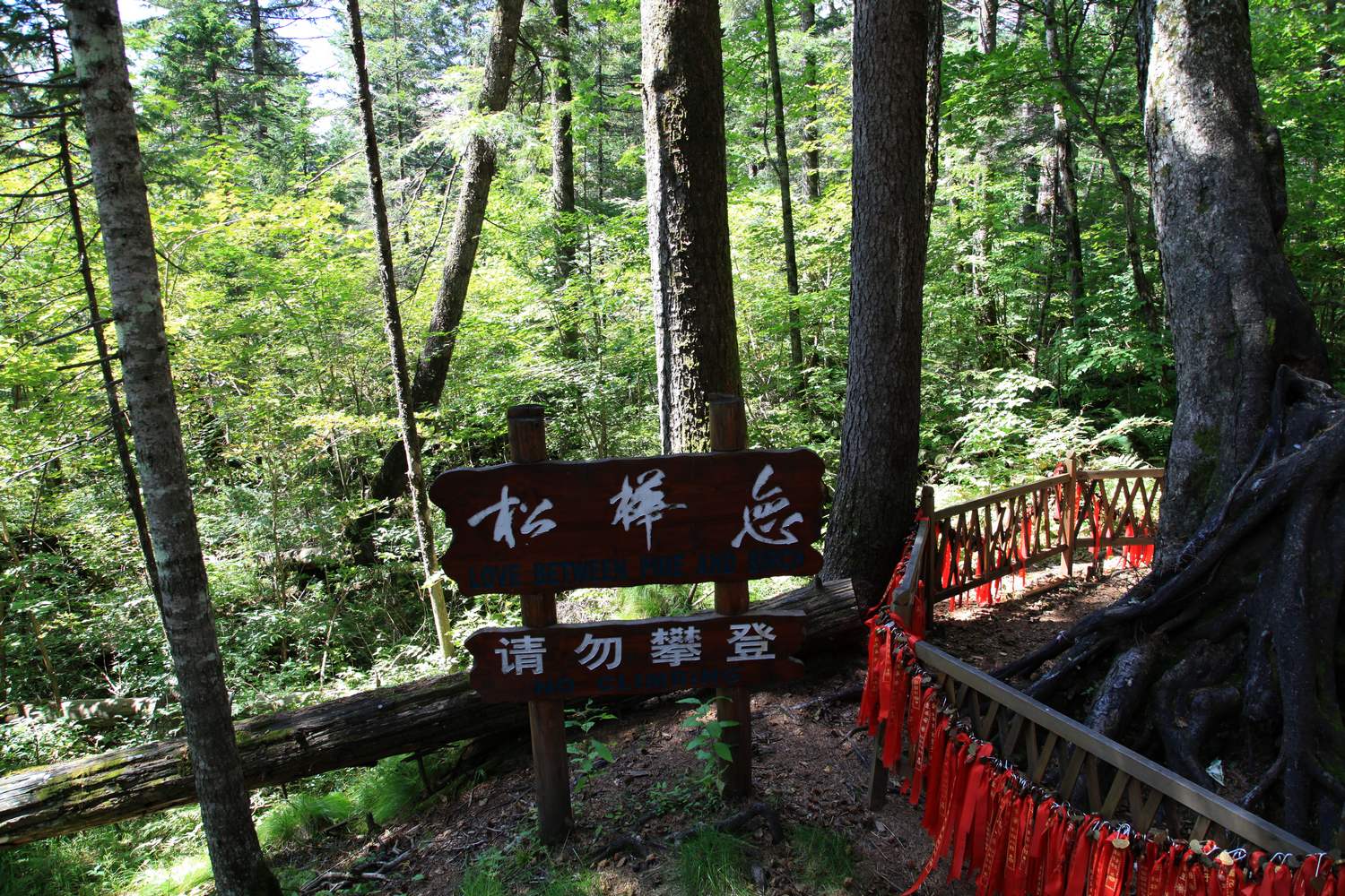 长白山 400.jpg