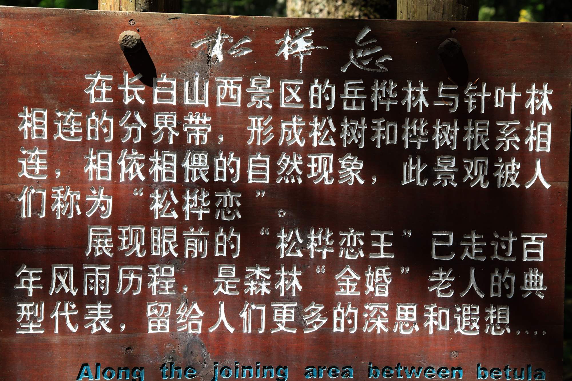 长白山 402.jpg