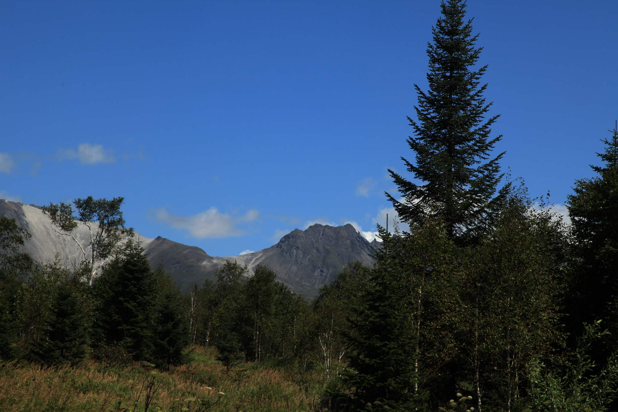 长白山 410.jpg