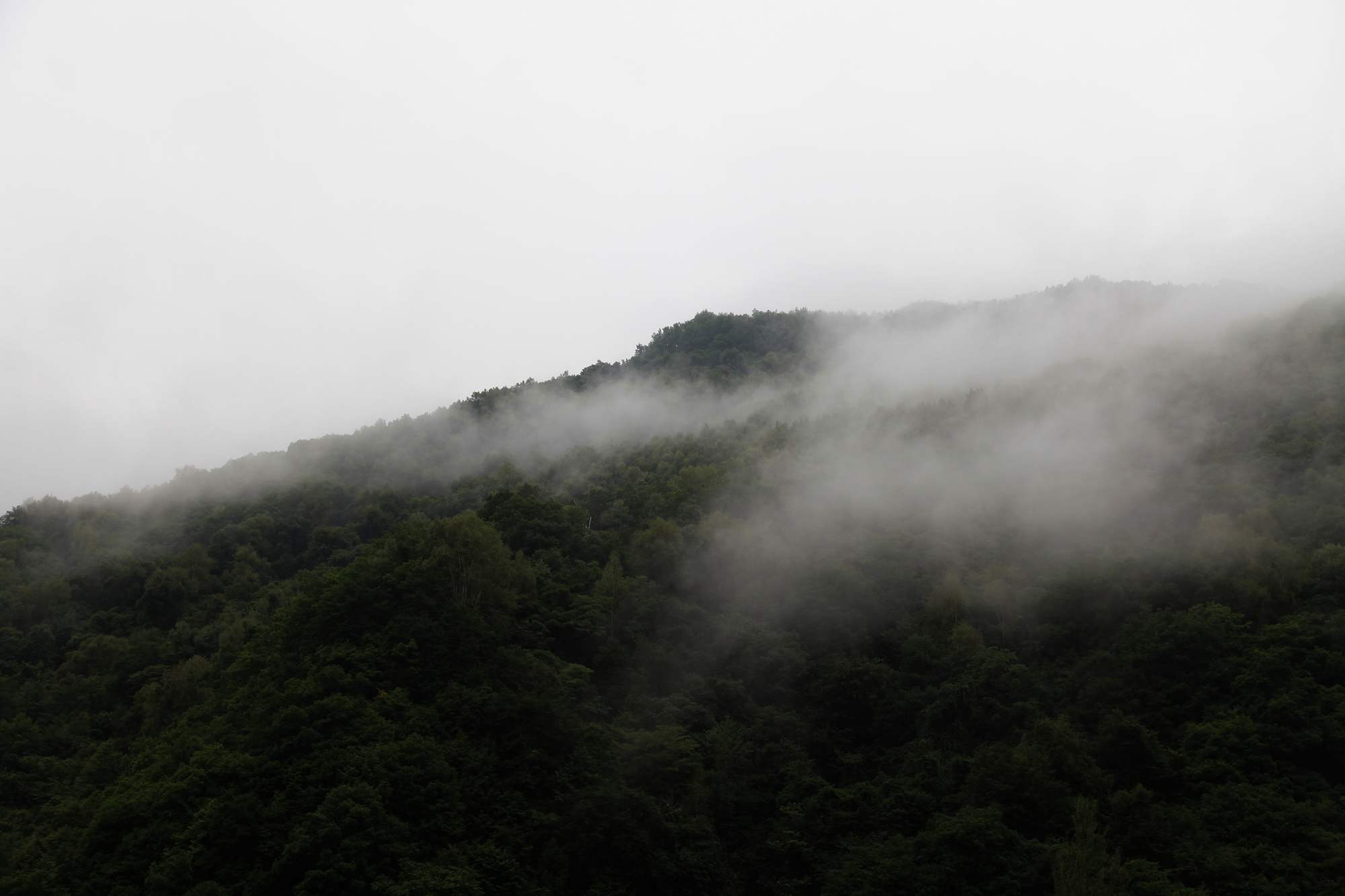 长白山 815.jpg