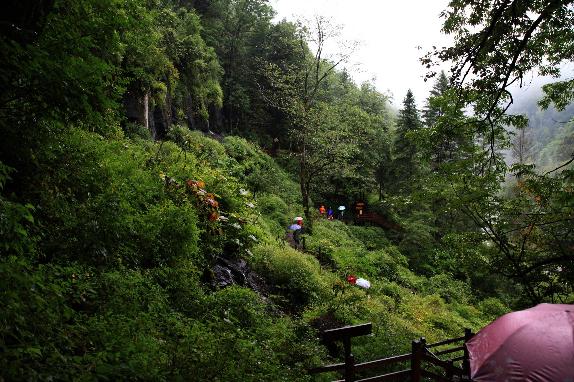长白山 838.jpg