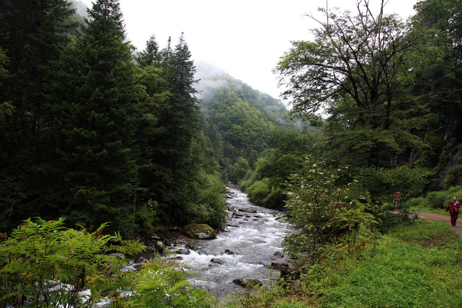 长白山 986.jpg