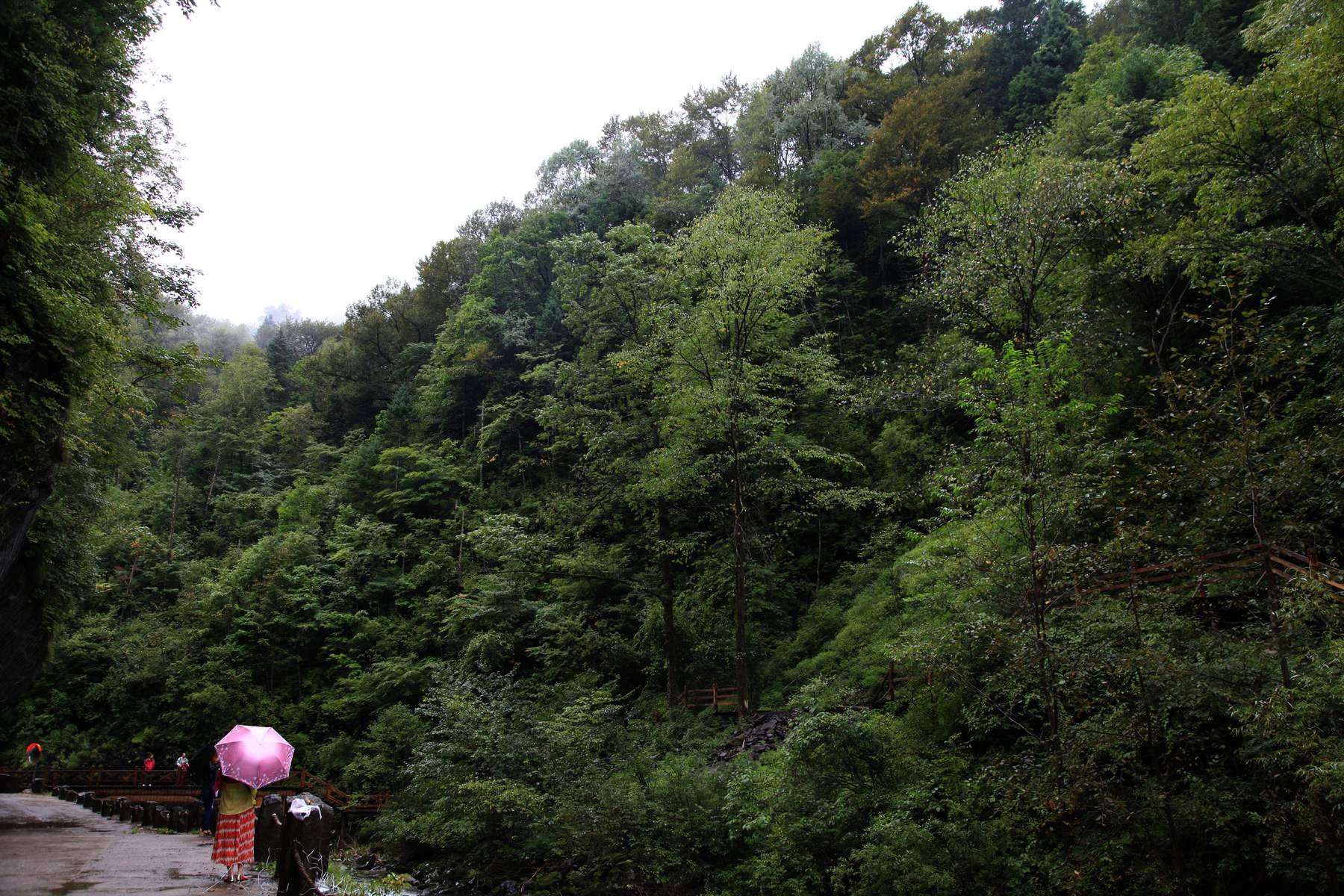 长白山 1012.jpg