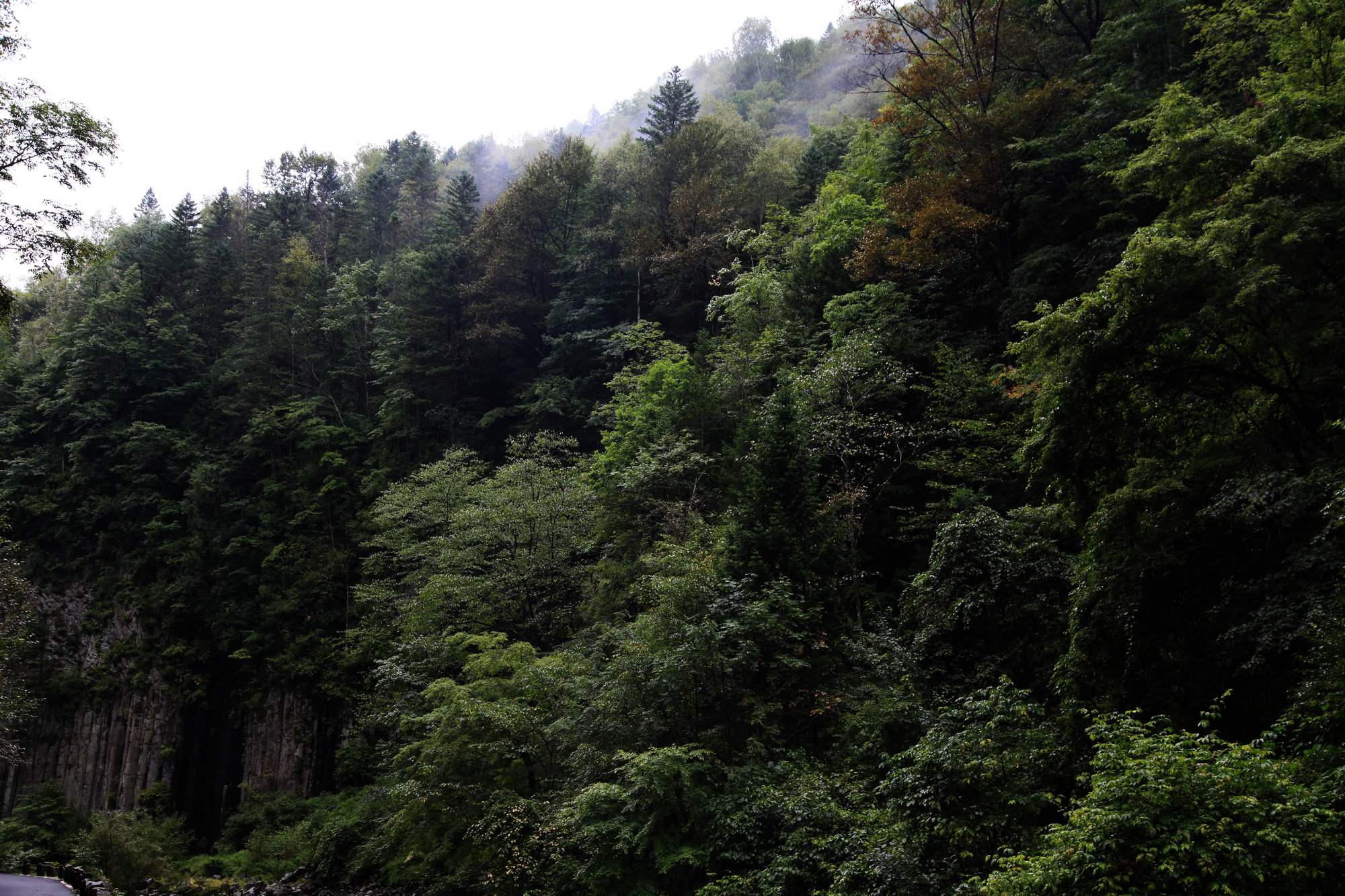 长白山 1028.jpg