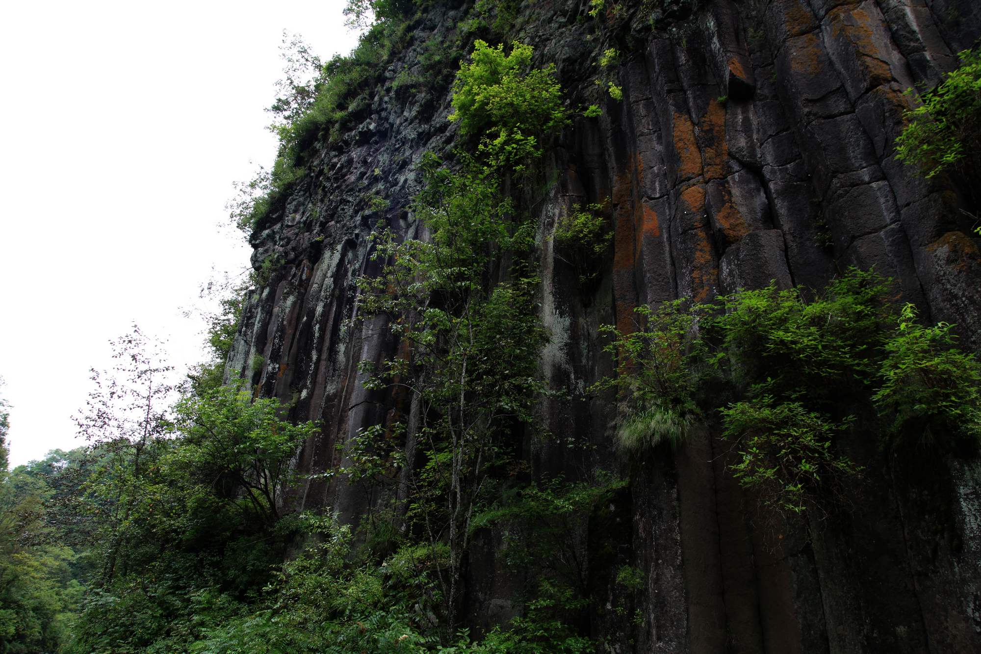 长白山 1033.jpg