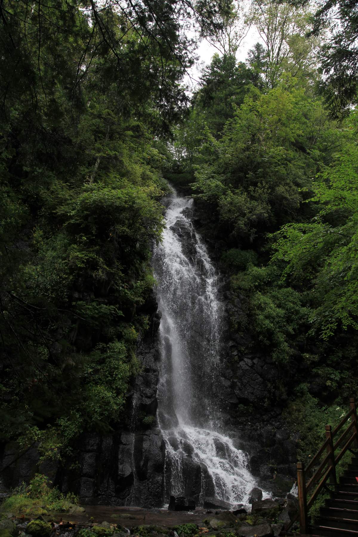 长白山 1054.jpg
