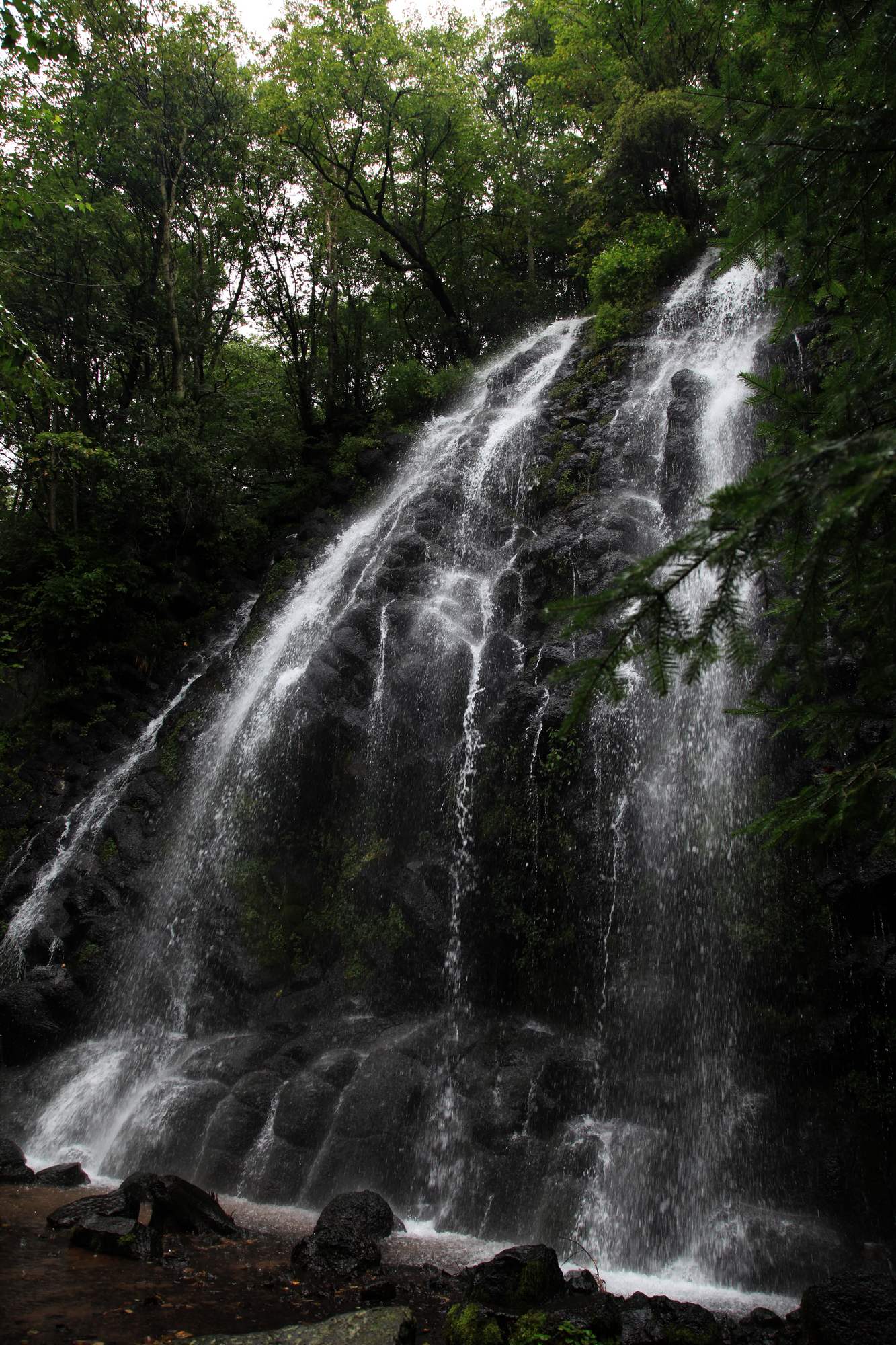 长白山 1058.jpg