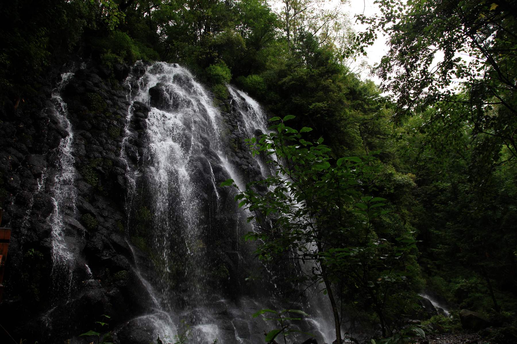 长白山 1063.jpg