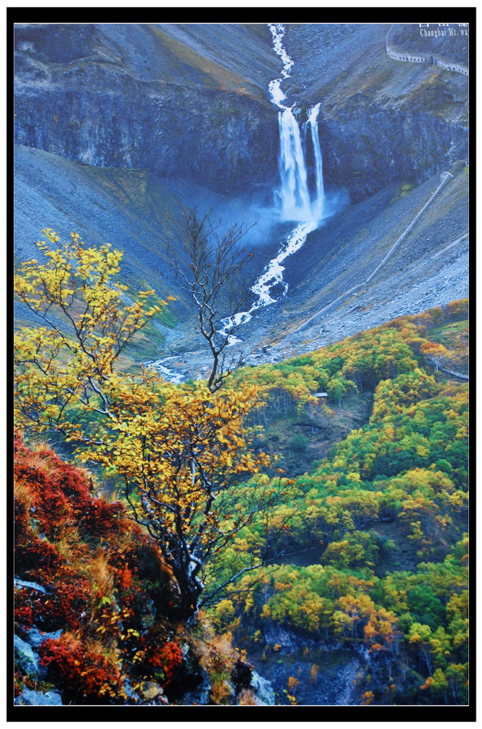 IMG_4779_副本.jpg