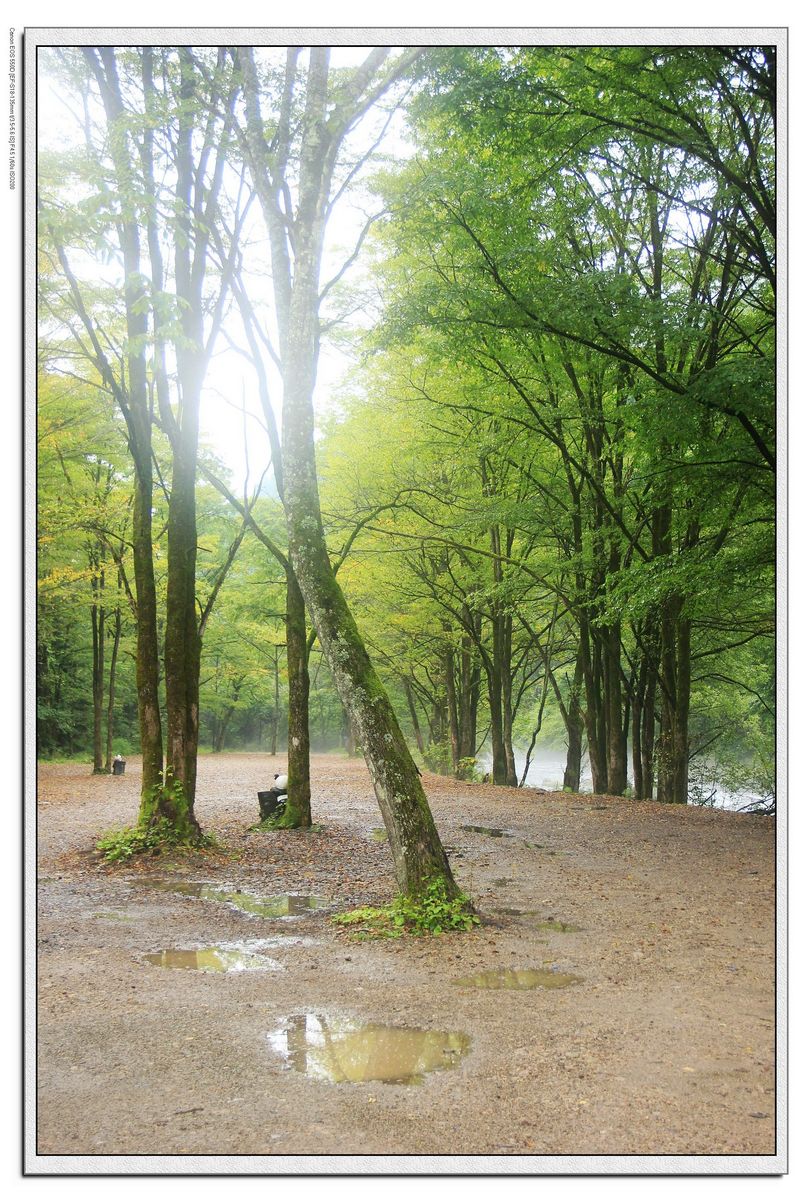 nEO_IMG_照片 967.jpg