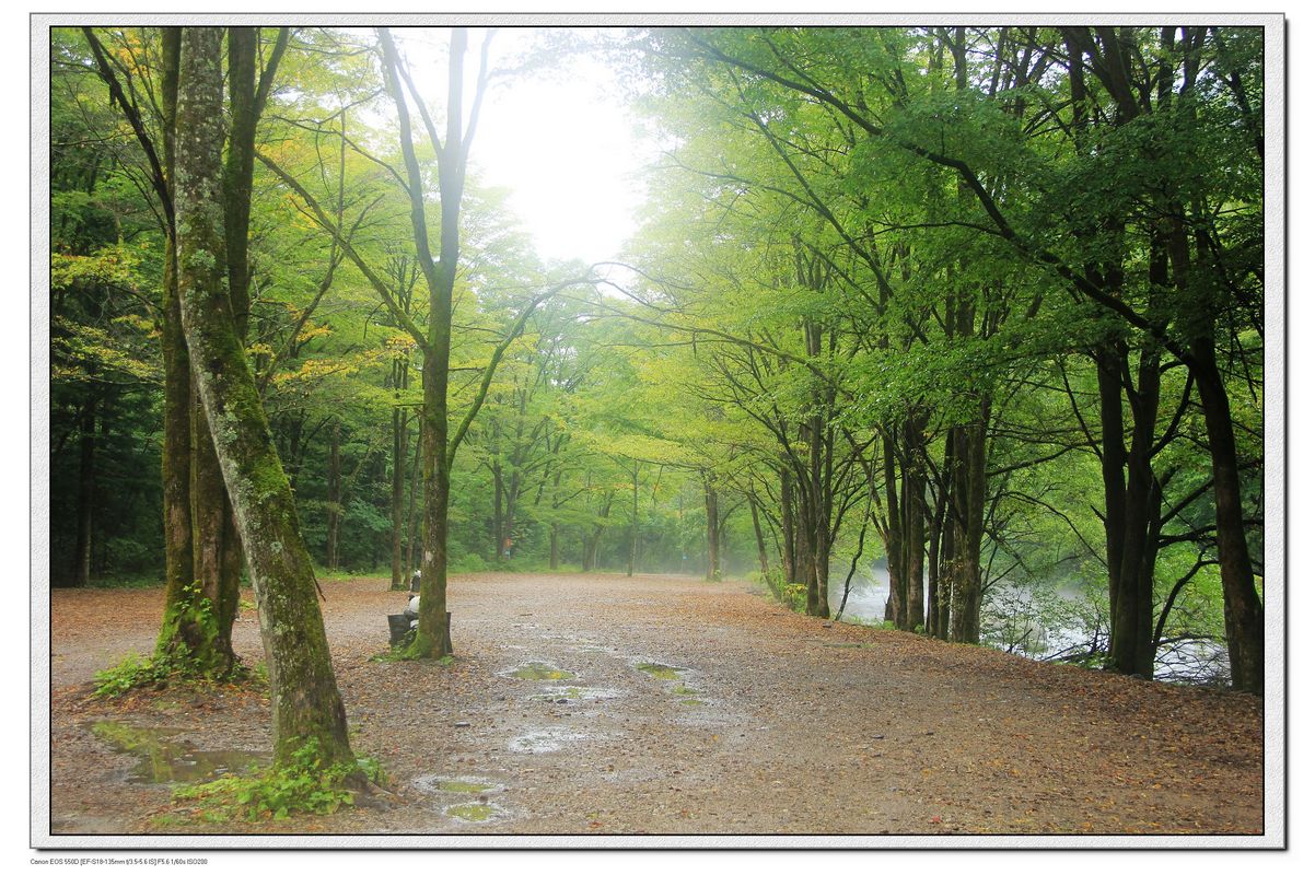 nEO_IMG_照片 966.jpg