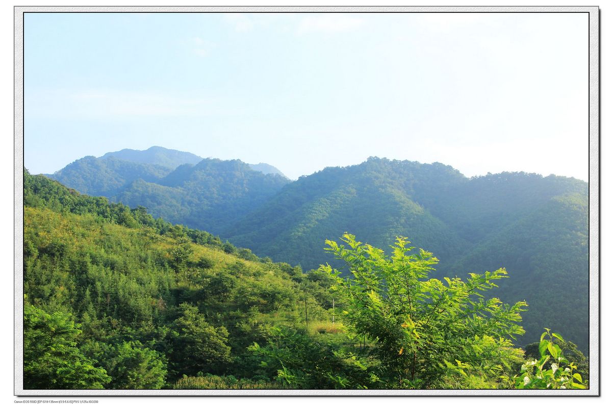 nEO_IMG_照片 1559.jpg
