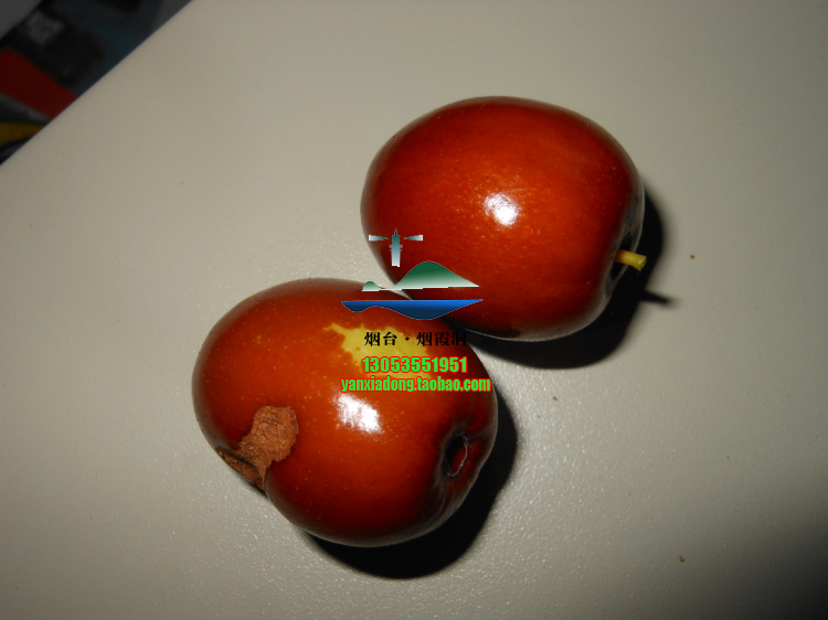 照片 271.jpg