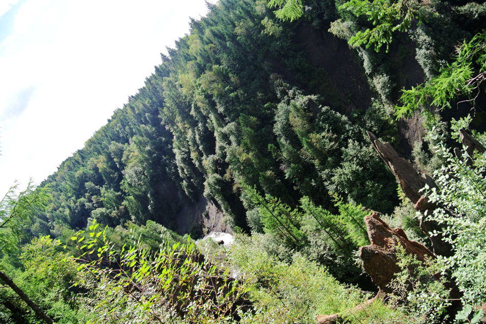 DSC_6718_副本.jpg