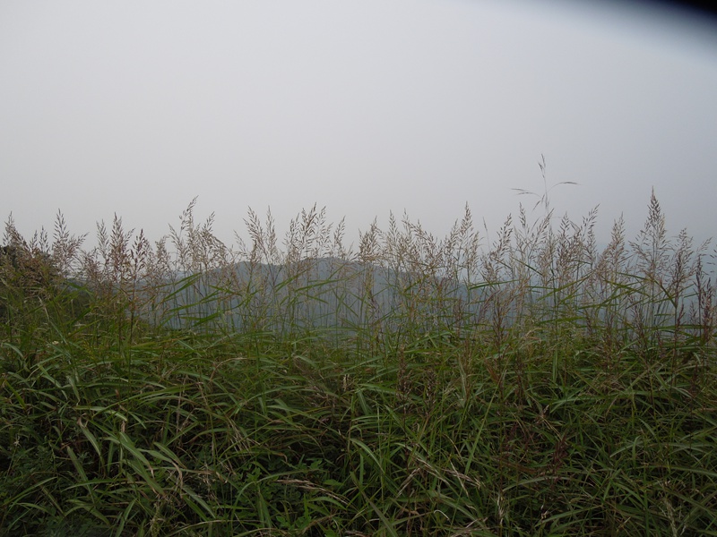 DSCN3310.JPG