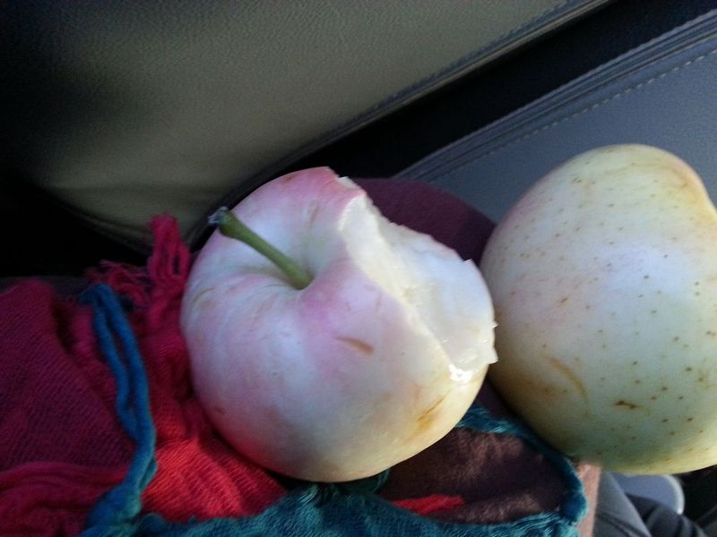 20130827_092757.jpg
