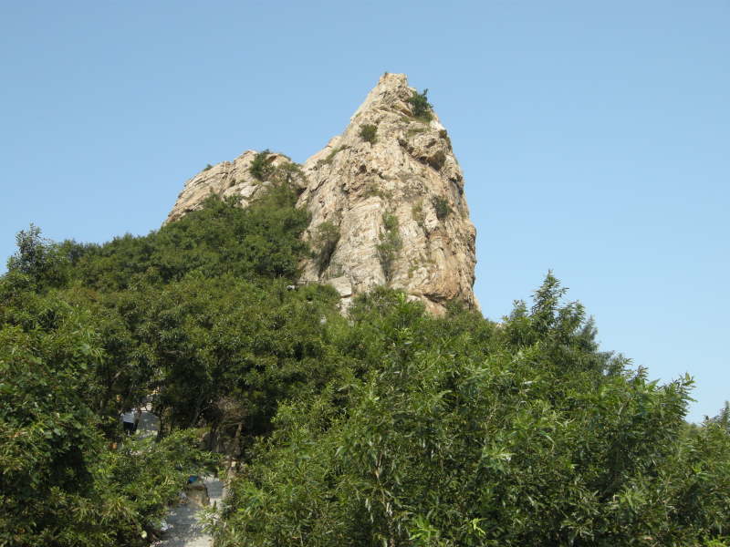 psb (26).jpg