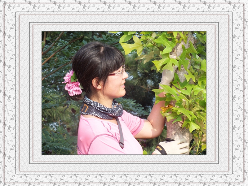 DSCF7171.jpg