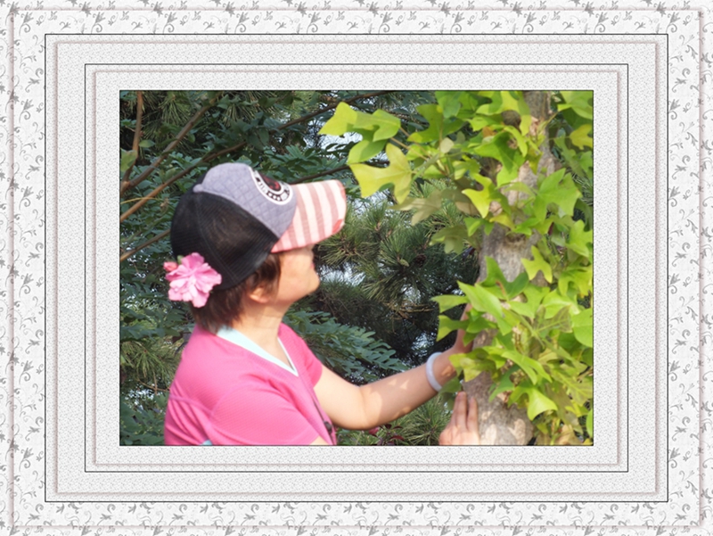 DSCF7173.jpg