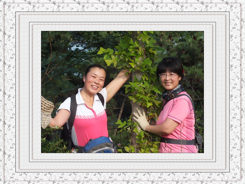 DSCF7182.jpg