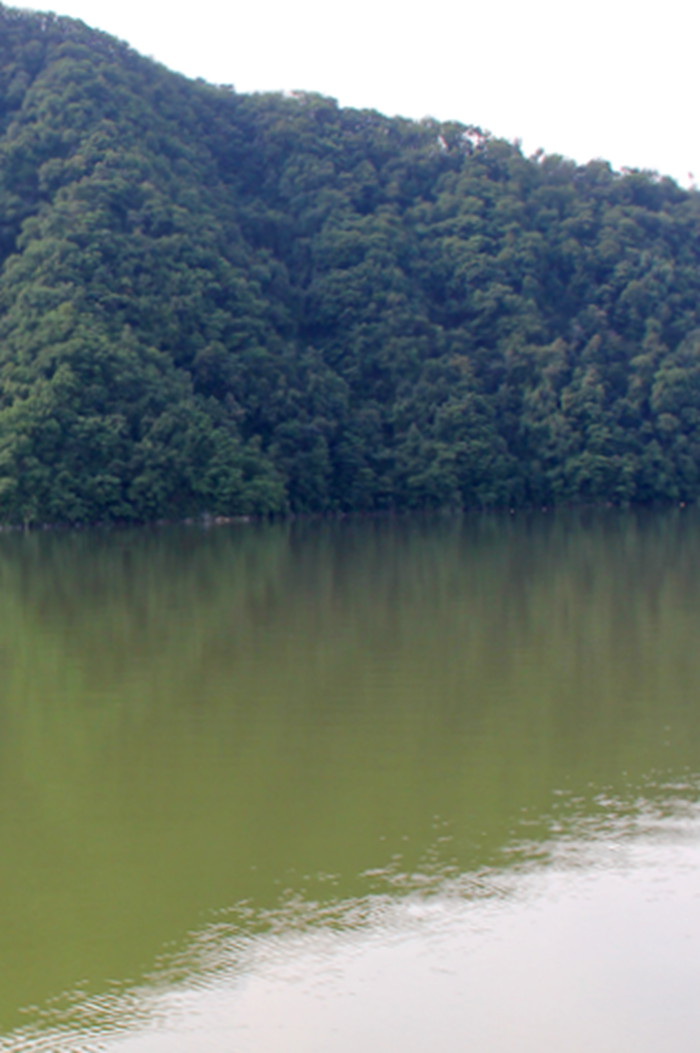 IMG_0196_副本_副本.jpg