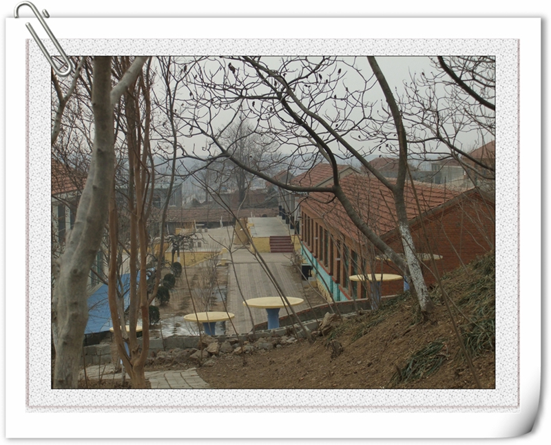 DSCF2370.jpg