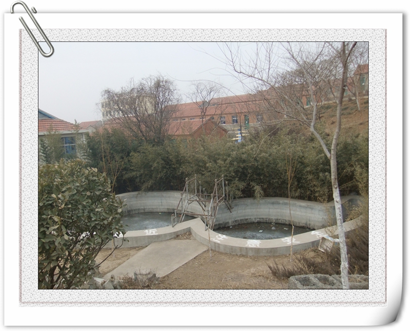 DSCF2374.jpg