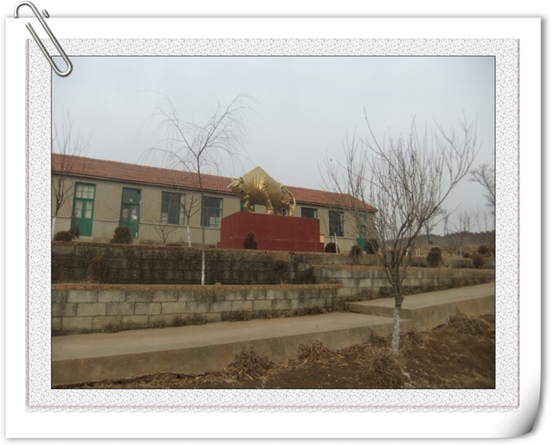 DSCF2378.jpg