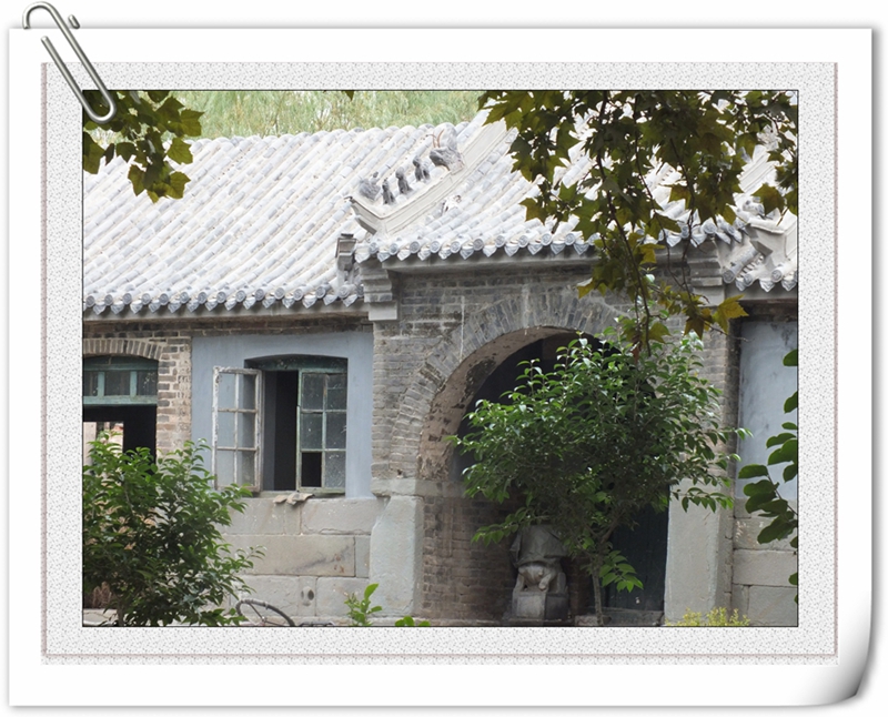 DSCF7481.jpg