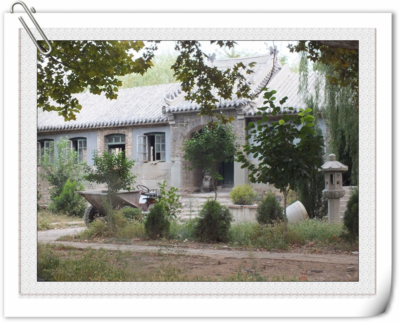 DSCF7508.jpg