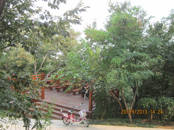 IMG_0602.jpg