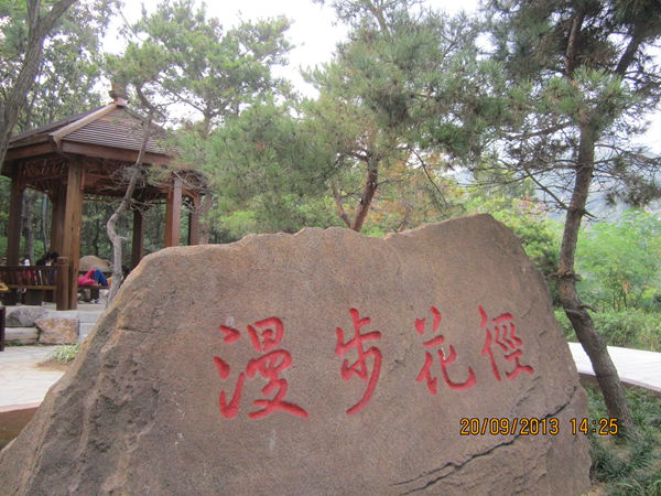 IMG_0606.jpg