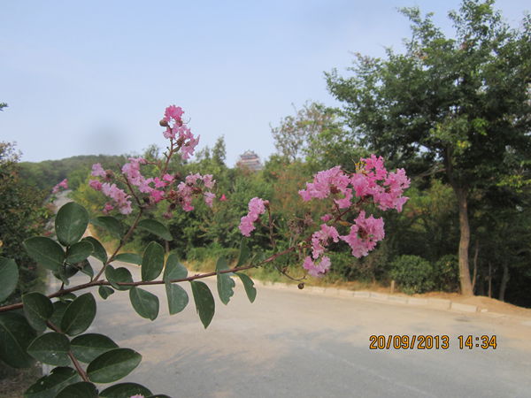 IMG_0627.jpg