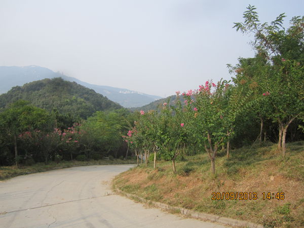 IMG_0648.jpg