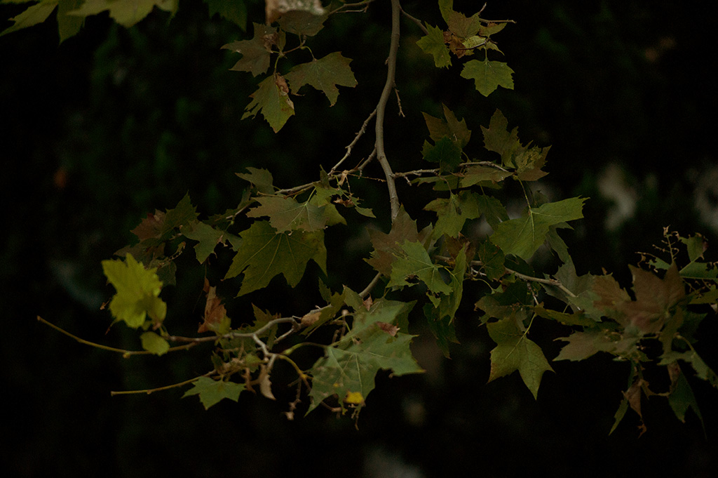 _9021014.jpg