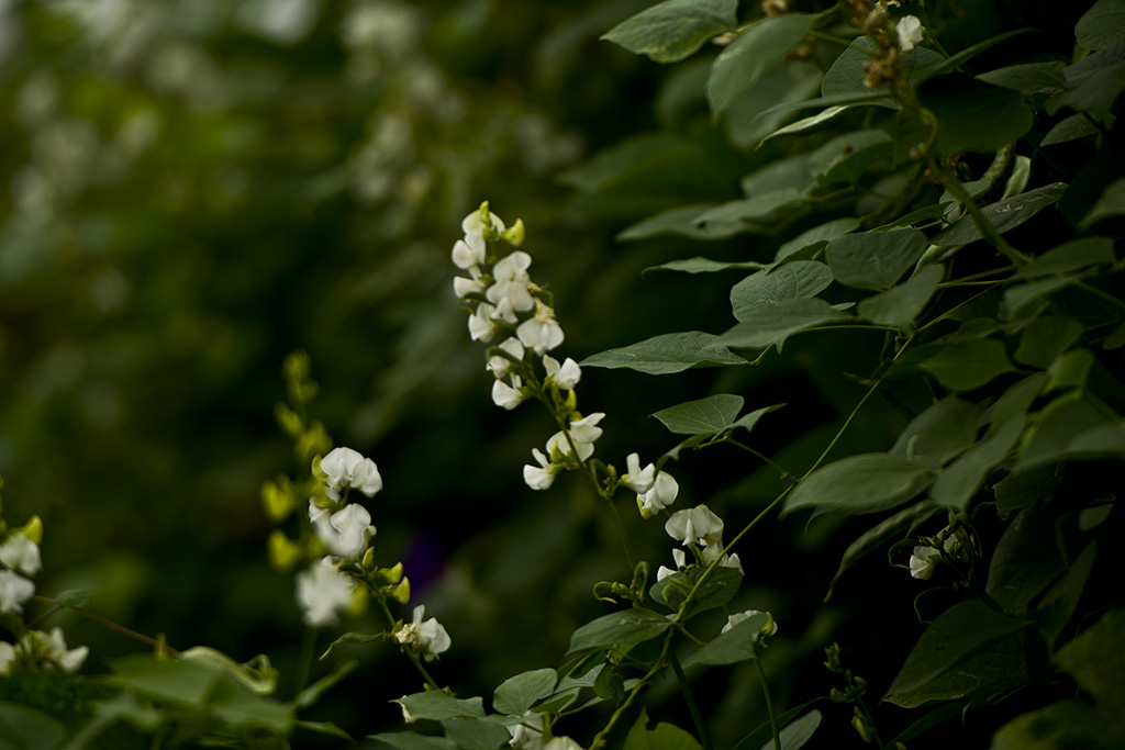 _092215.jpg