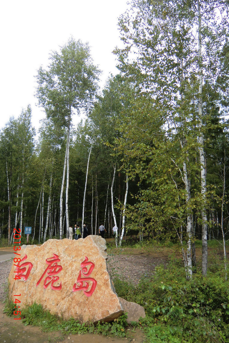 CIMG9122.JPG