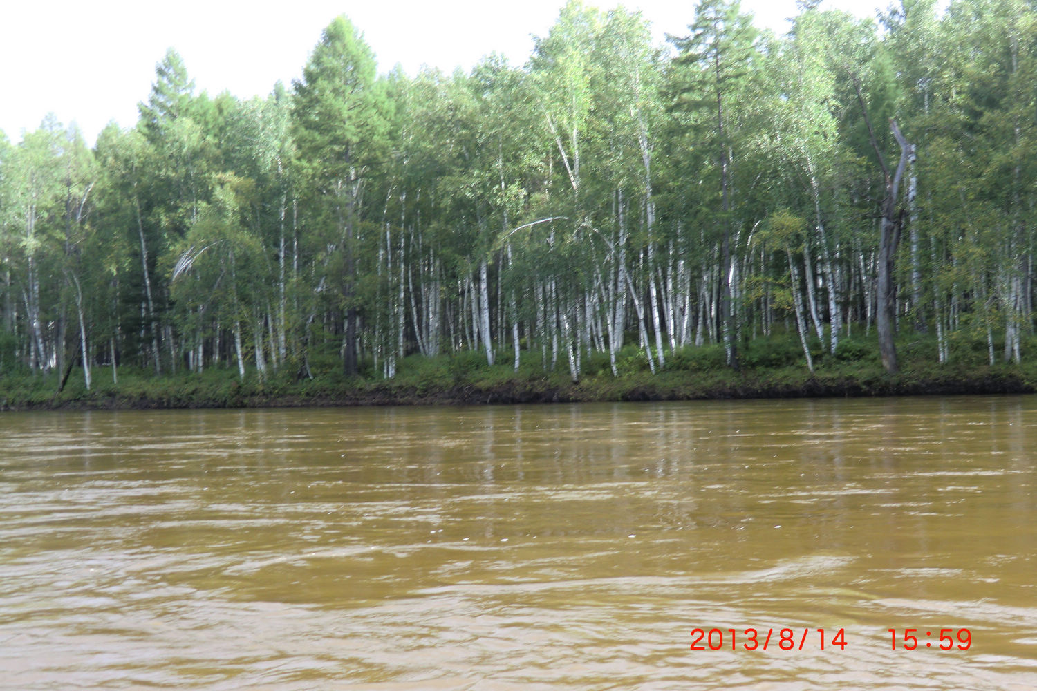 CIMG9157.JPG